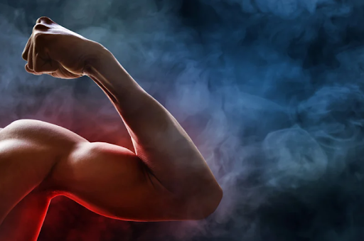 The Role of Macros in Building Lean Muscle and Burning Fat